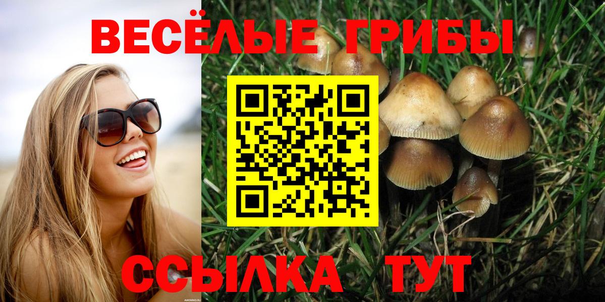 Псилоцибиновые грибы Cubensis  Вход с VPN  Псилоцибиновые грибы мухоморы  Апшеронск 